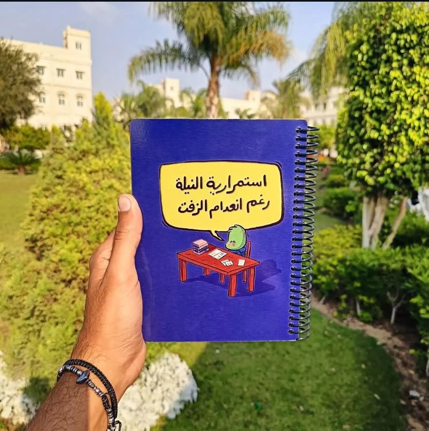 استمرارية النيلة image