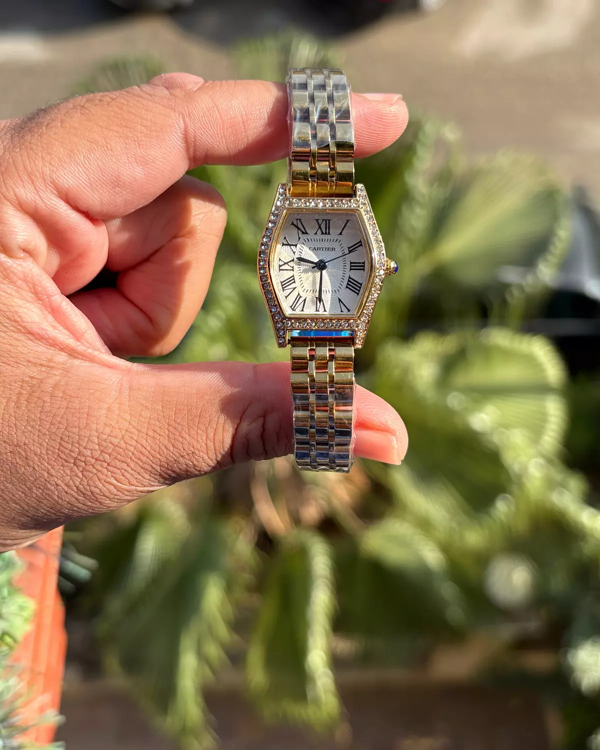 Cartieré Prime image