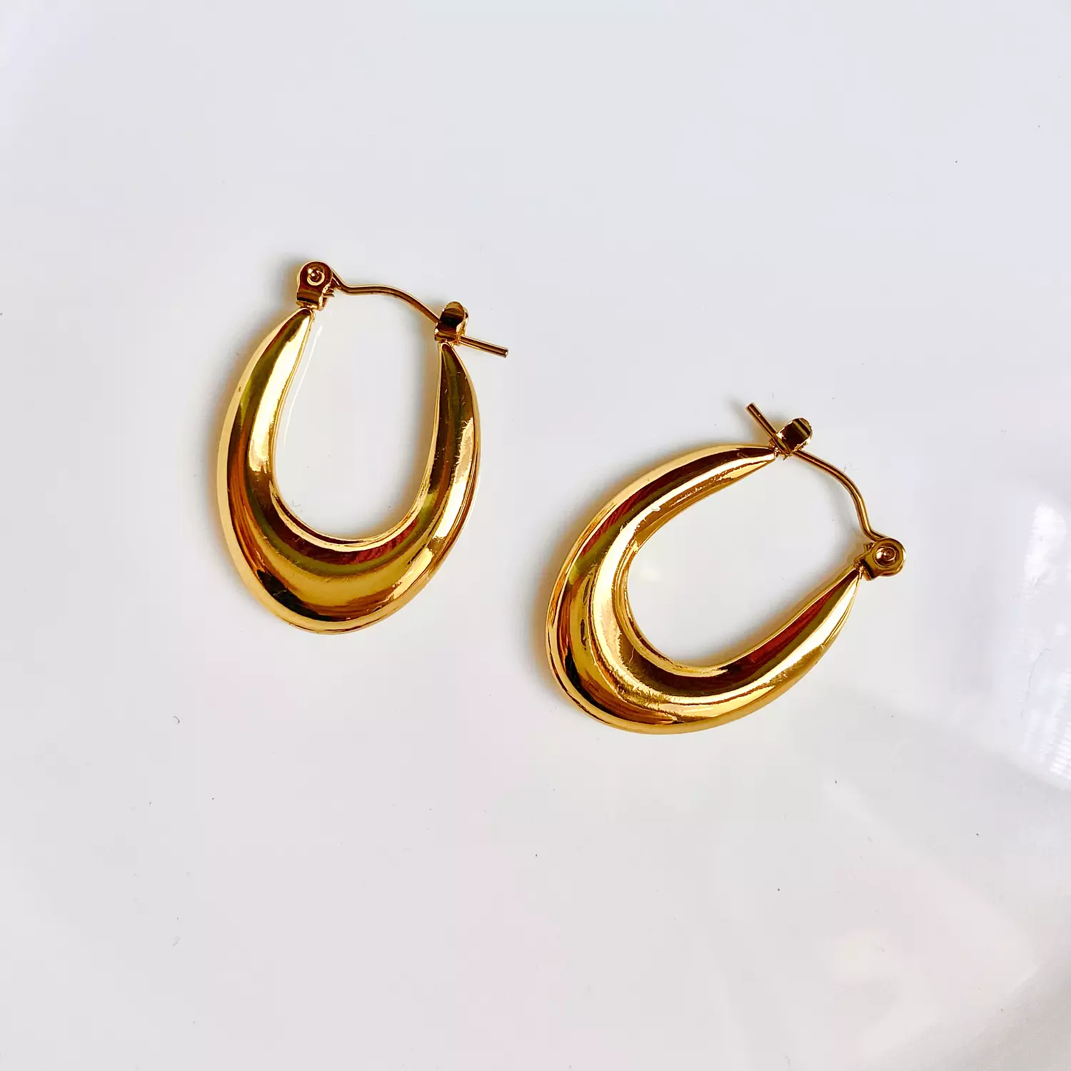 Aurum Curve Stainless steel earrings ✨ image