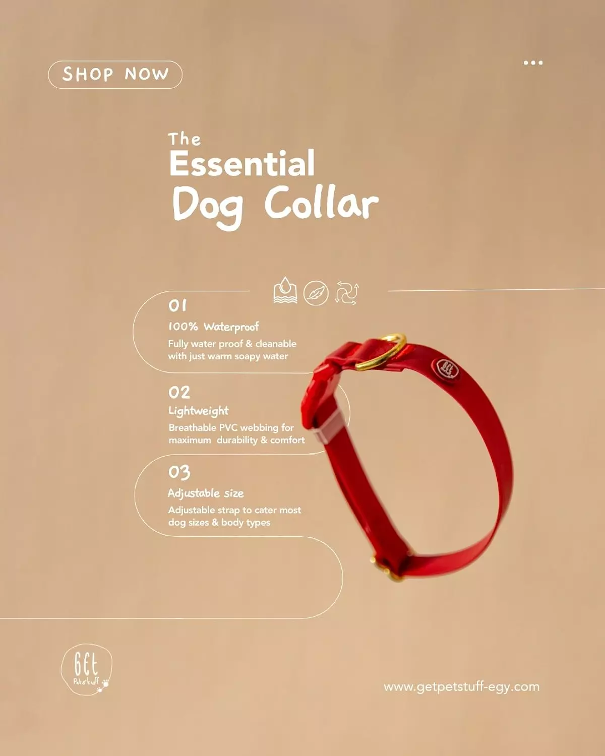 Essential Dog Collar 3
