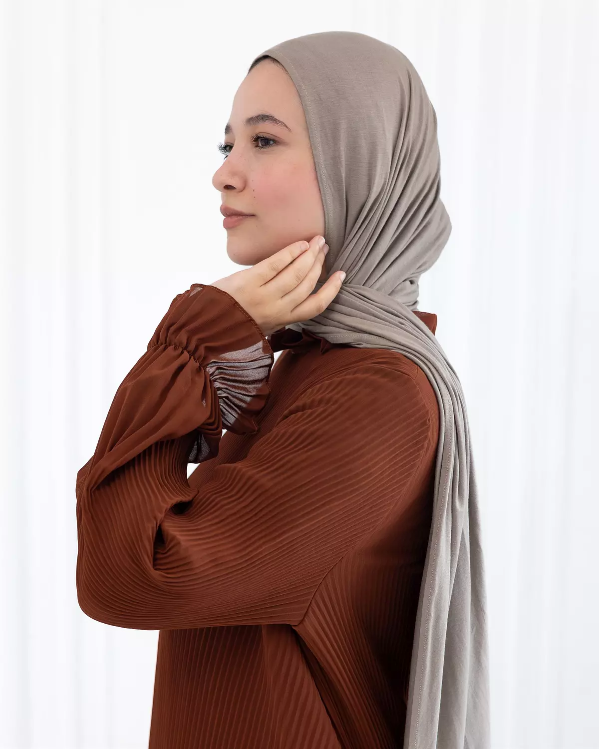 Chiffon Pleated Dress | Dark havan 2