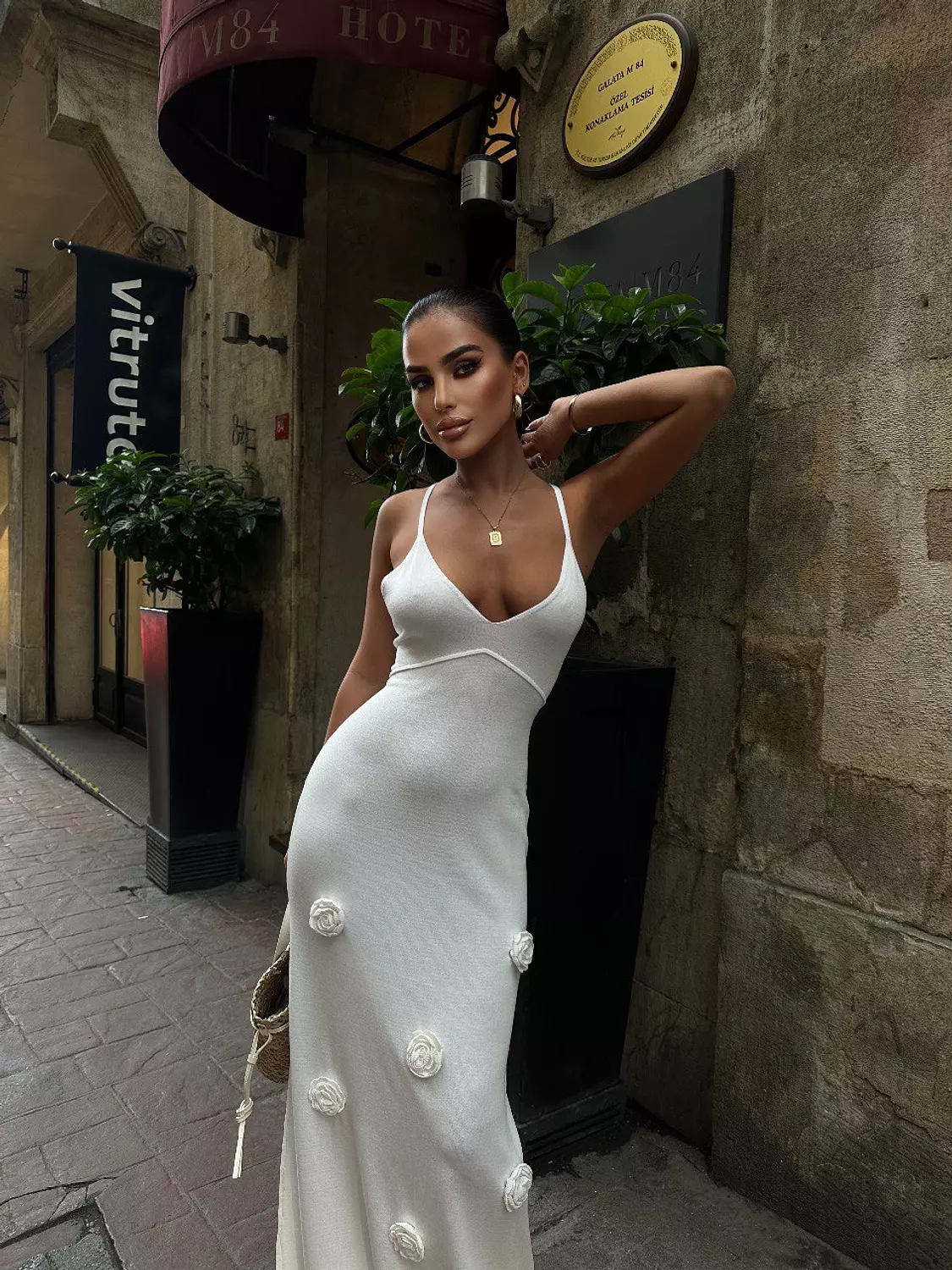 Suki Embroidered Dress image