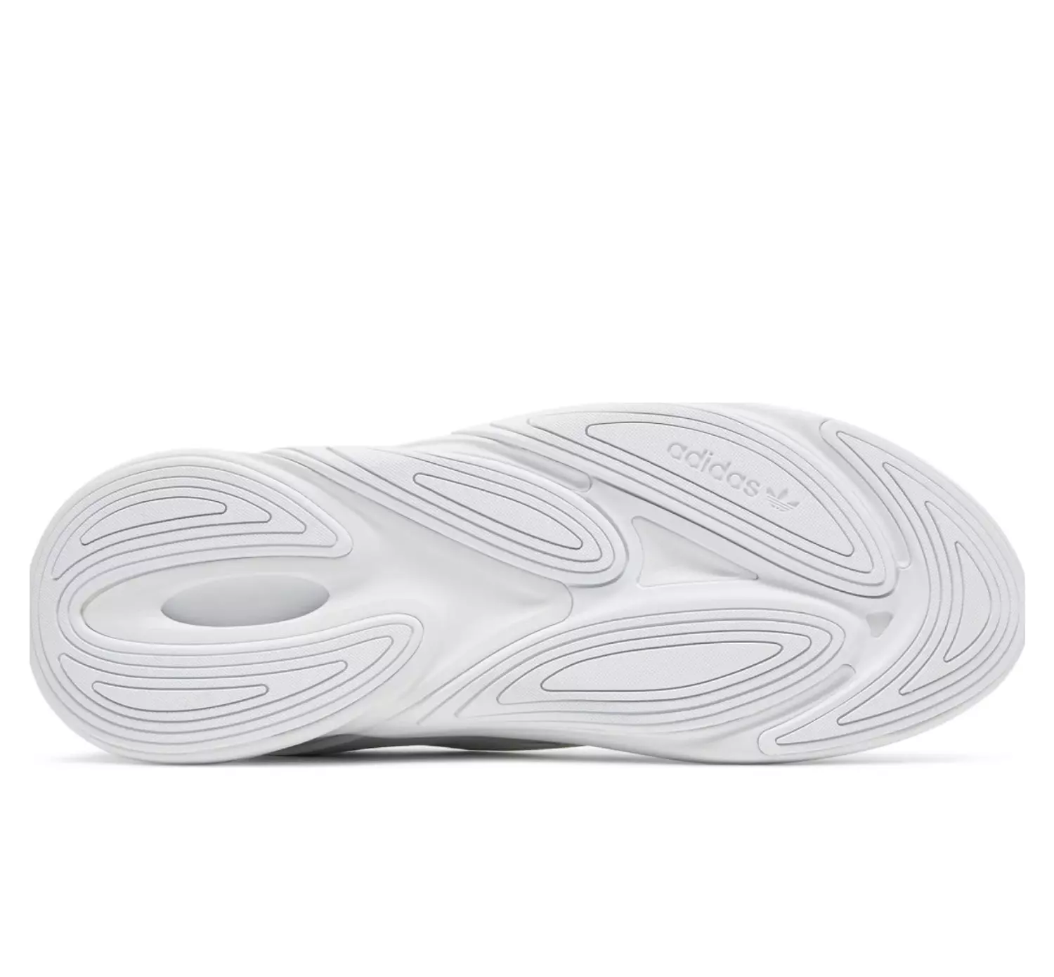 Ozelia 'Triple White' 6