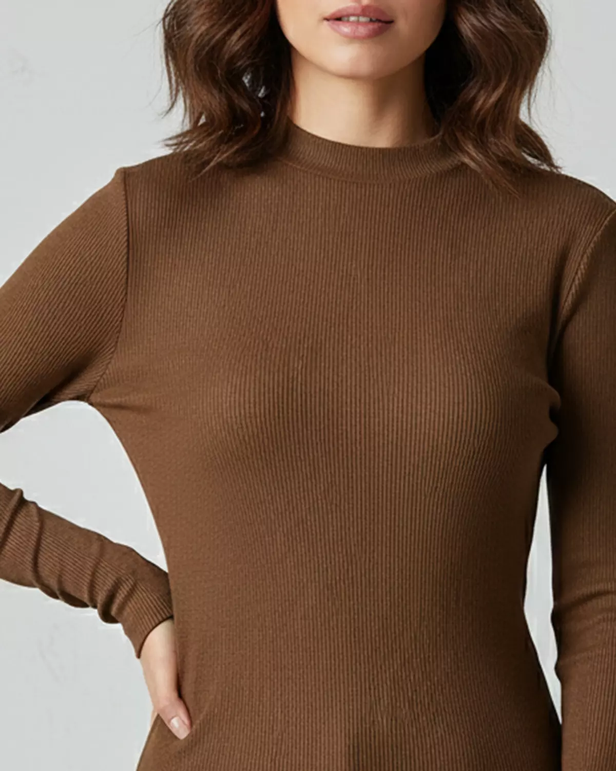 Brown Basic Top lon sleeve 2