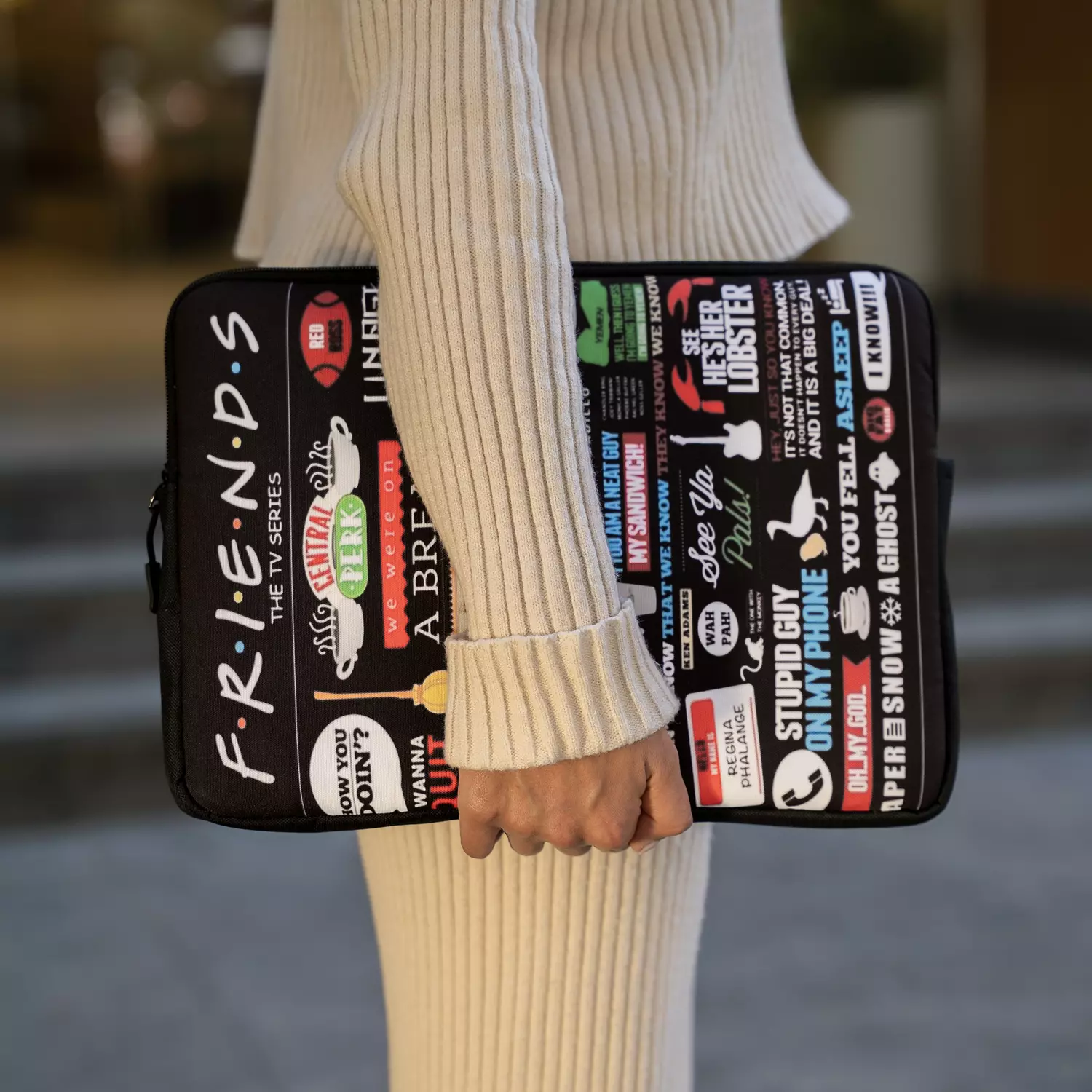 THE ONE WITH THE LAPTOP SLEEVE image
