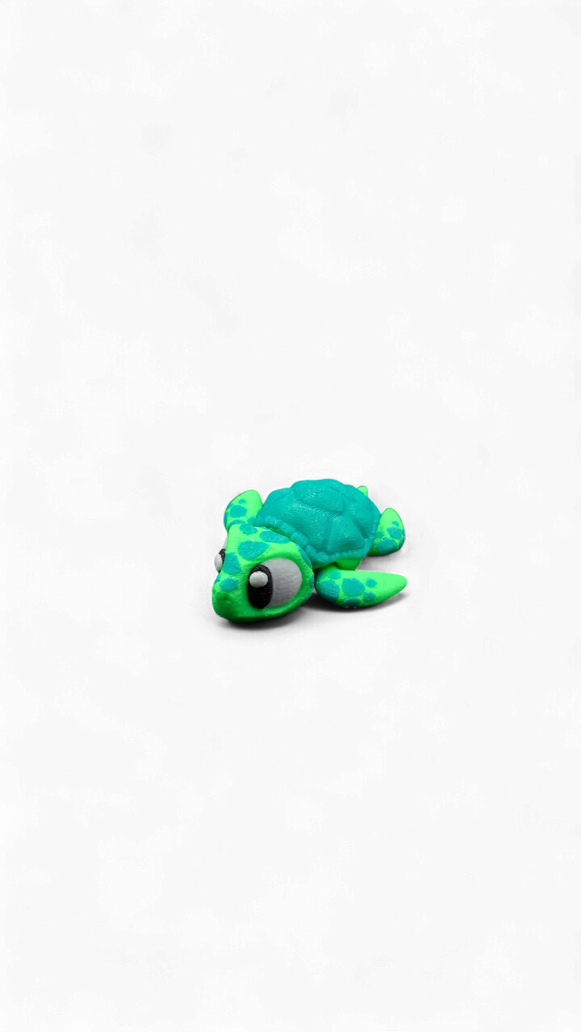 Flexi - Sea Turtle-2nd-img