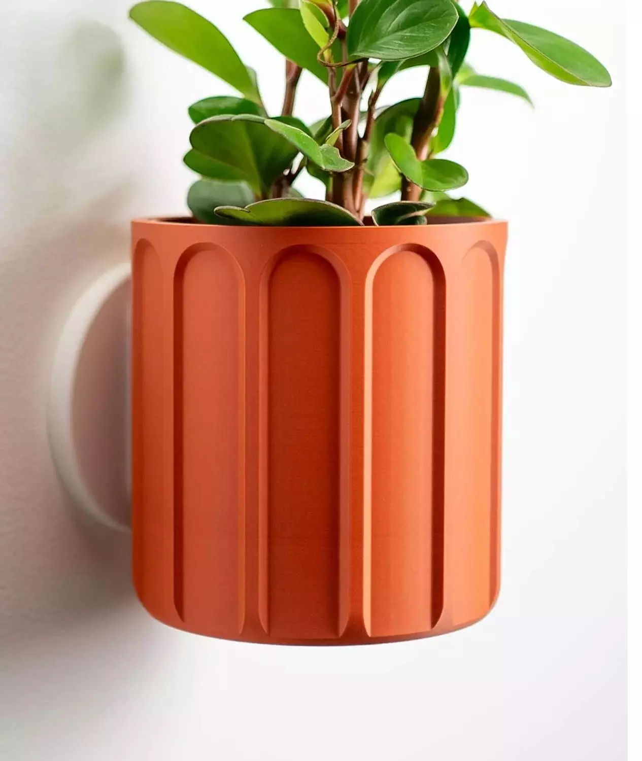 The Orange by Pots  image