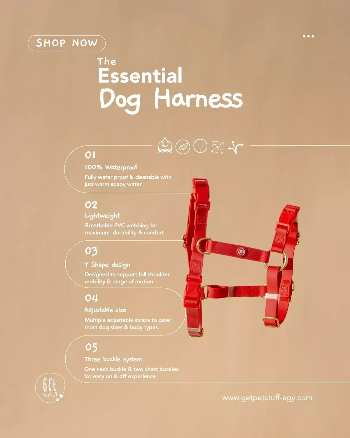 Essential Dog Harness 3
