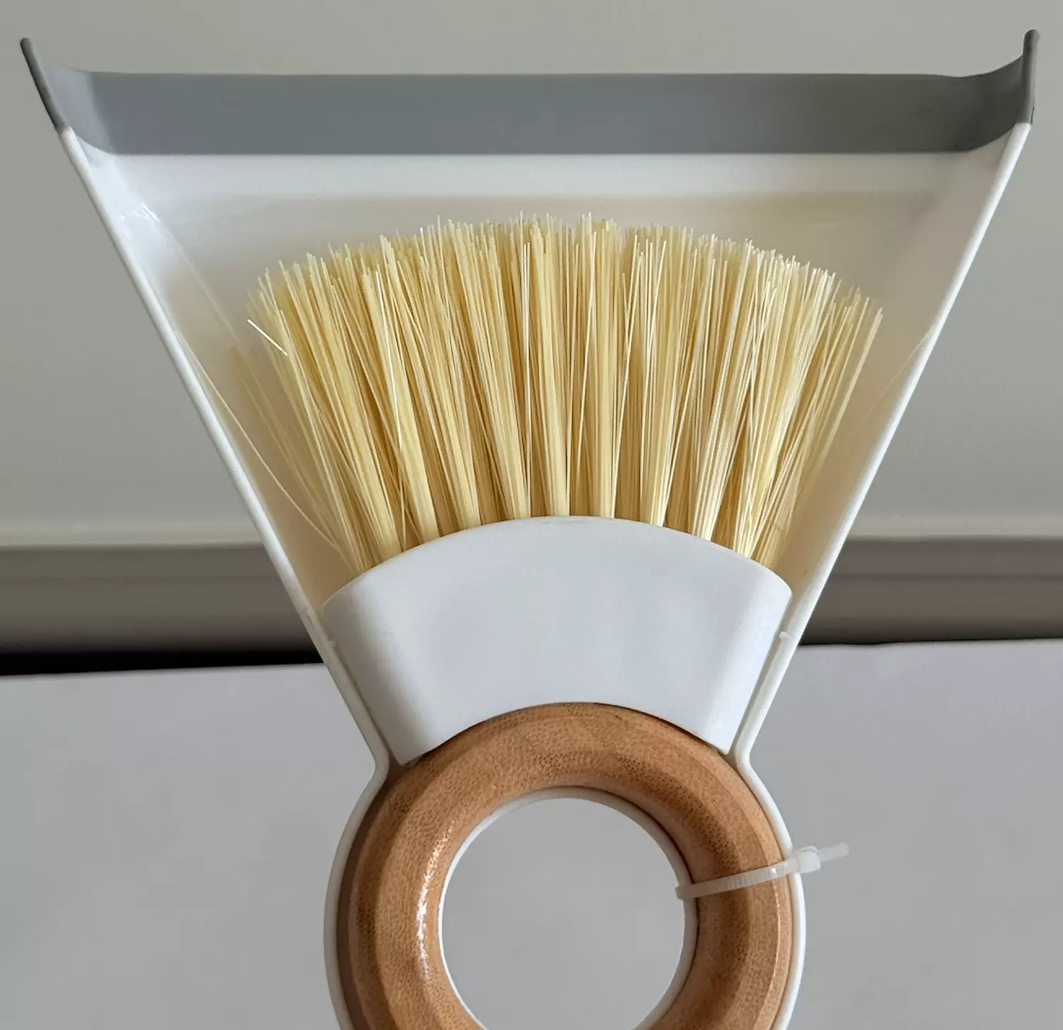Mini Dustpan & Brush Set 1