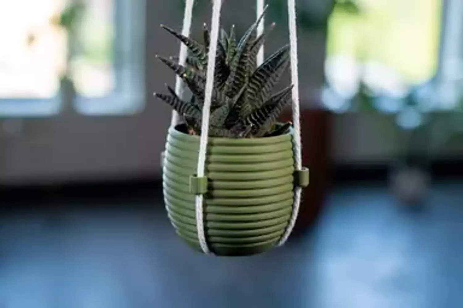 Hanging Planter - The Hive 4