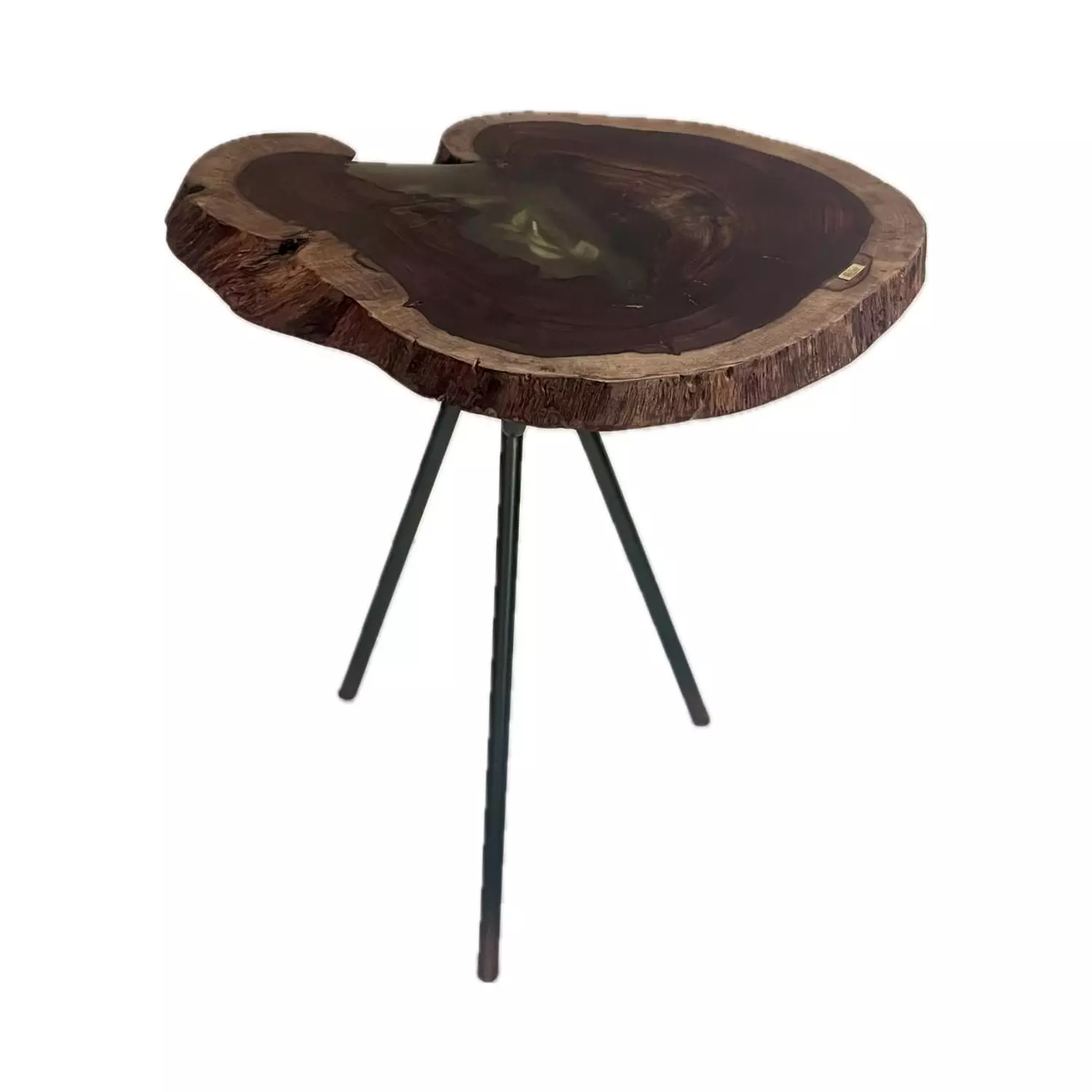 Tree Log- Natural Leaves Side Table  image