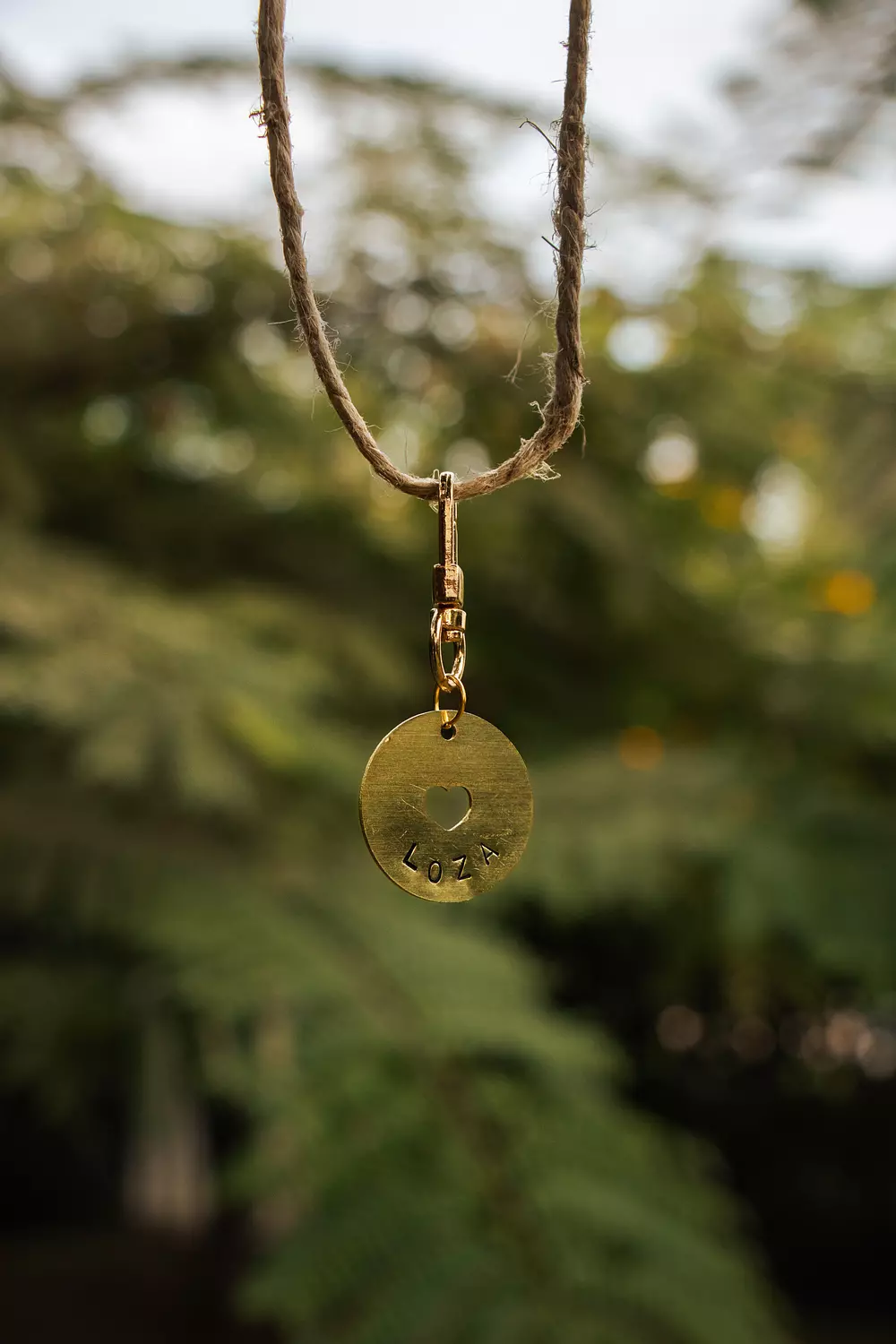 Love Bound Pet Tag & Charm 5