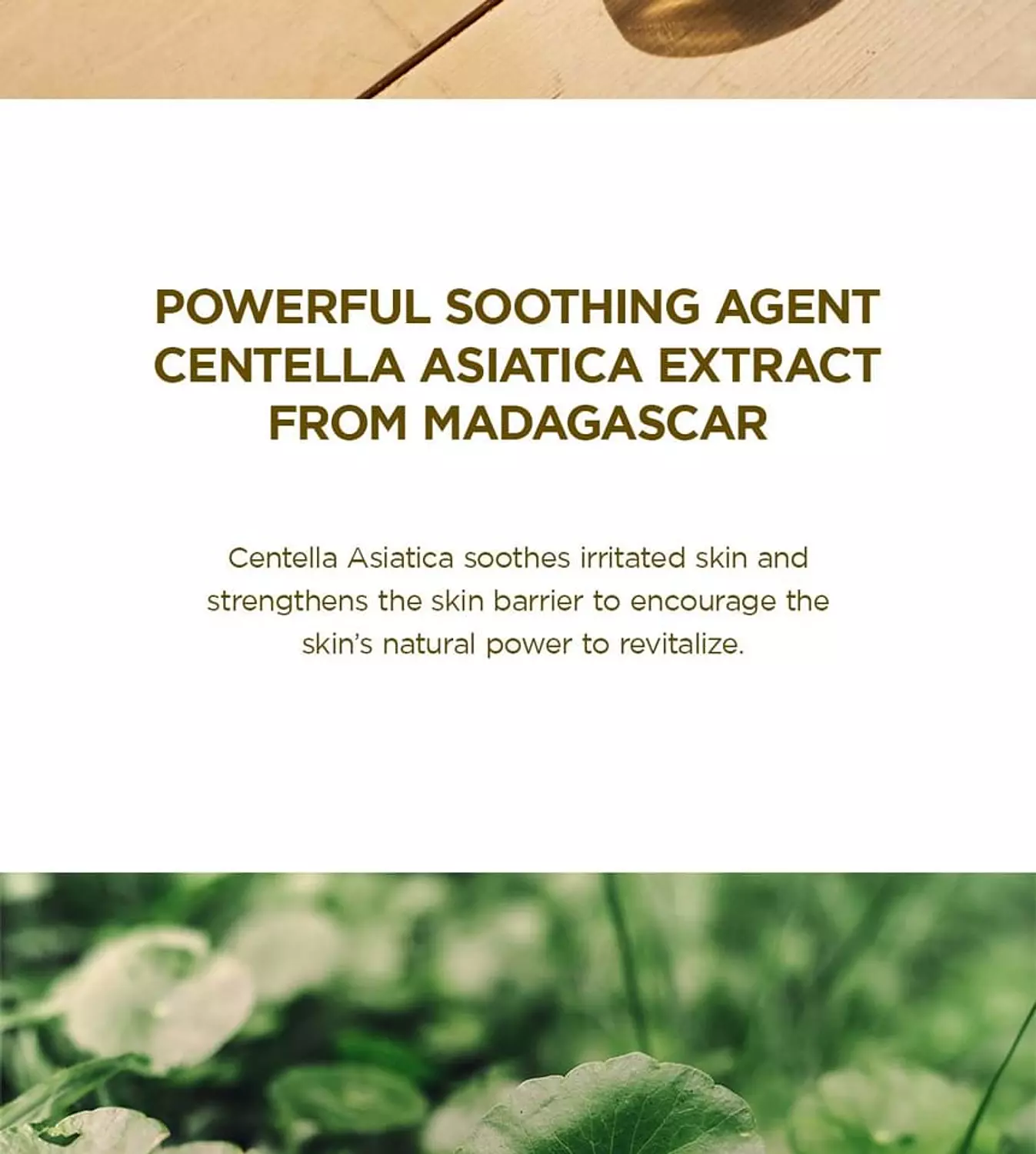 SKIN1004 - Madagascar Centella Soothing Cream 1