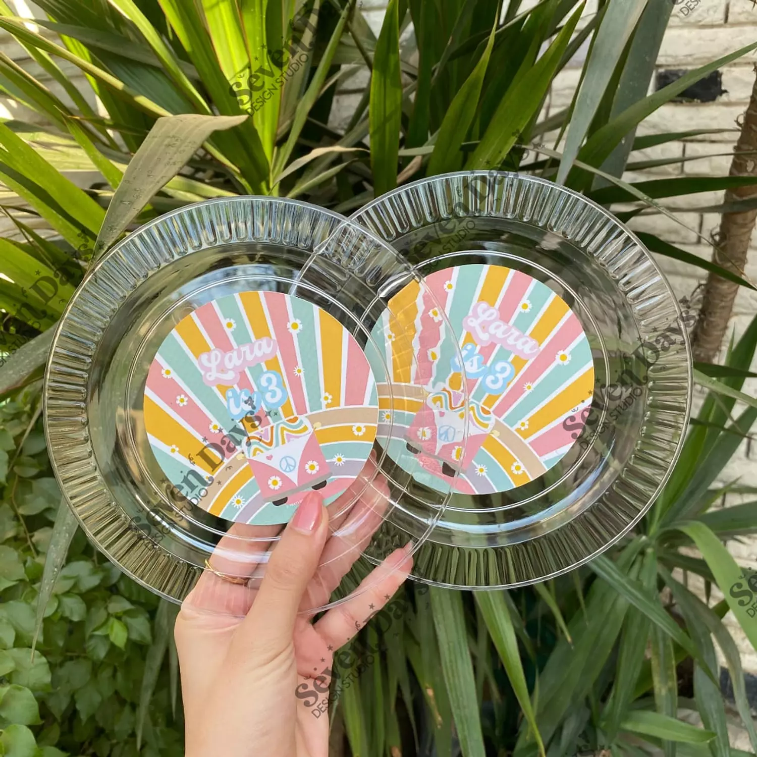 10 Plastic Plates 6