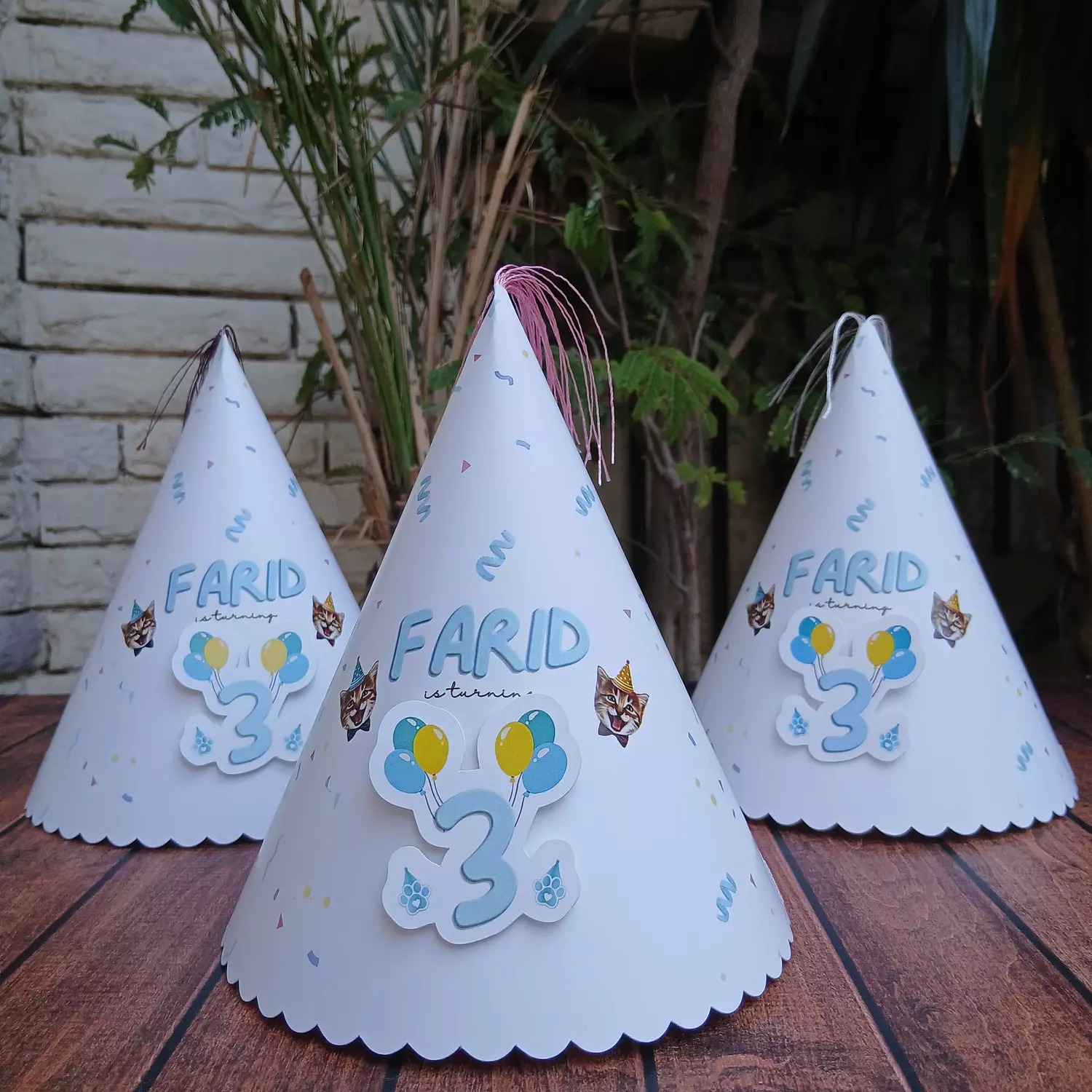 Cats Hat-Crown-Mask 1