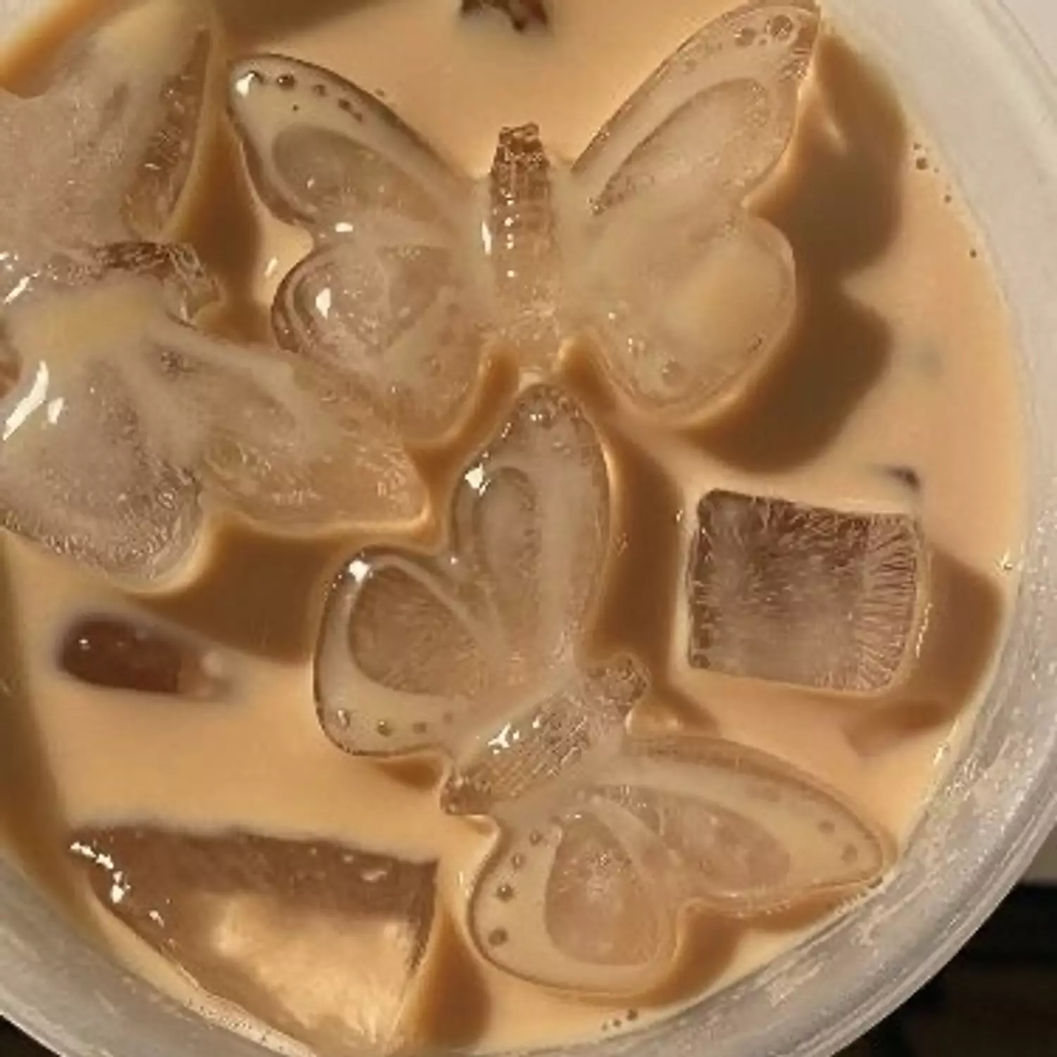 Butterfly ice cube tray  4