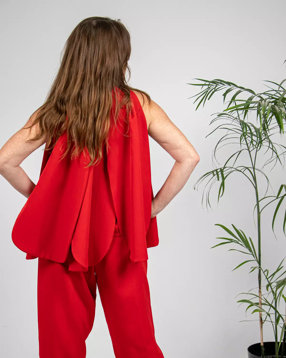 Red Camellia  4