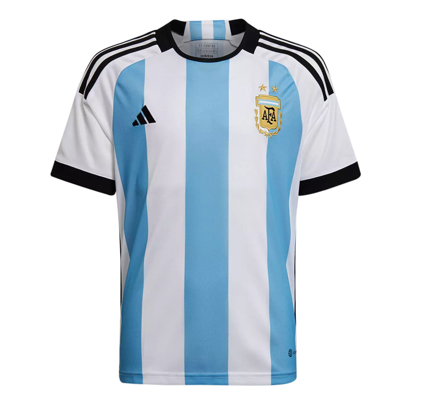 ARGENTINA WORLD CUP 22 FANS - NATIONAL