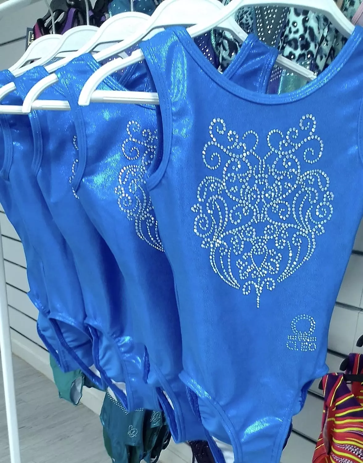 CLEO - Isabella Blue Leotard image