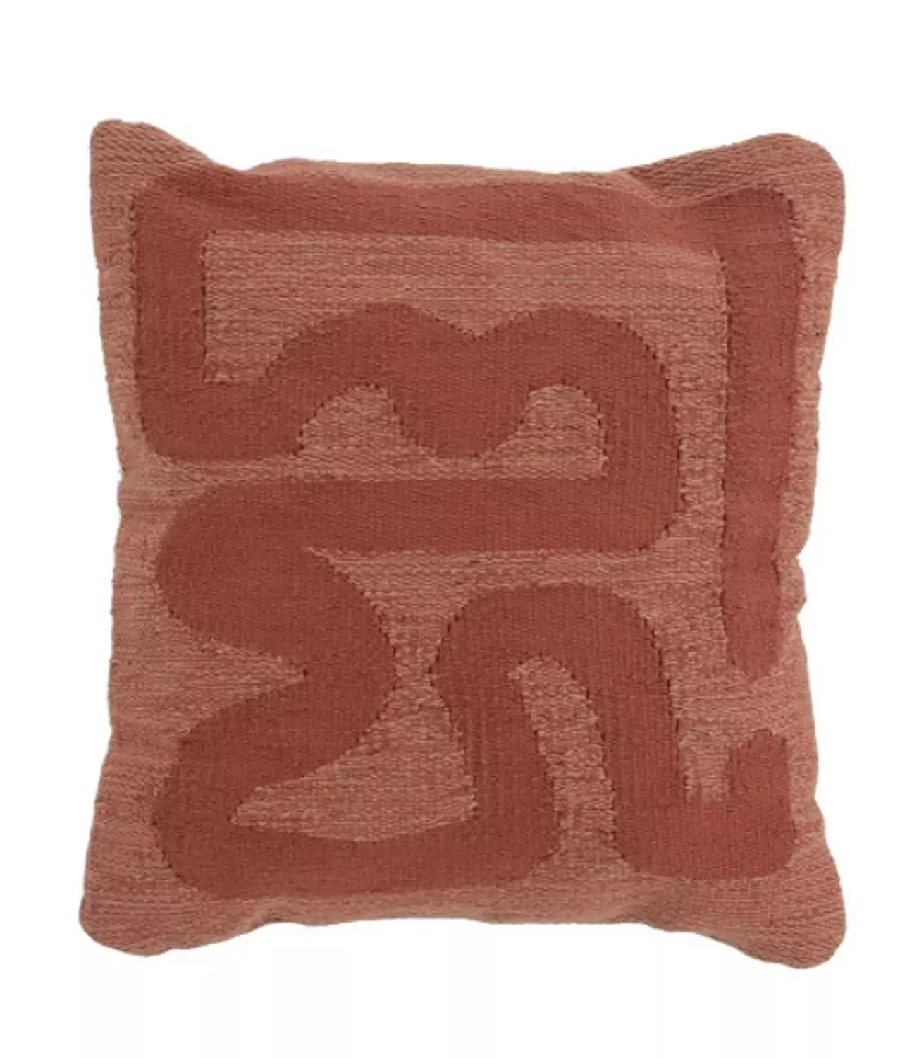 Snake Cushion image