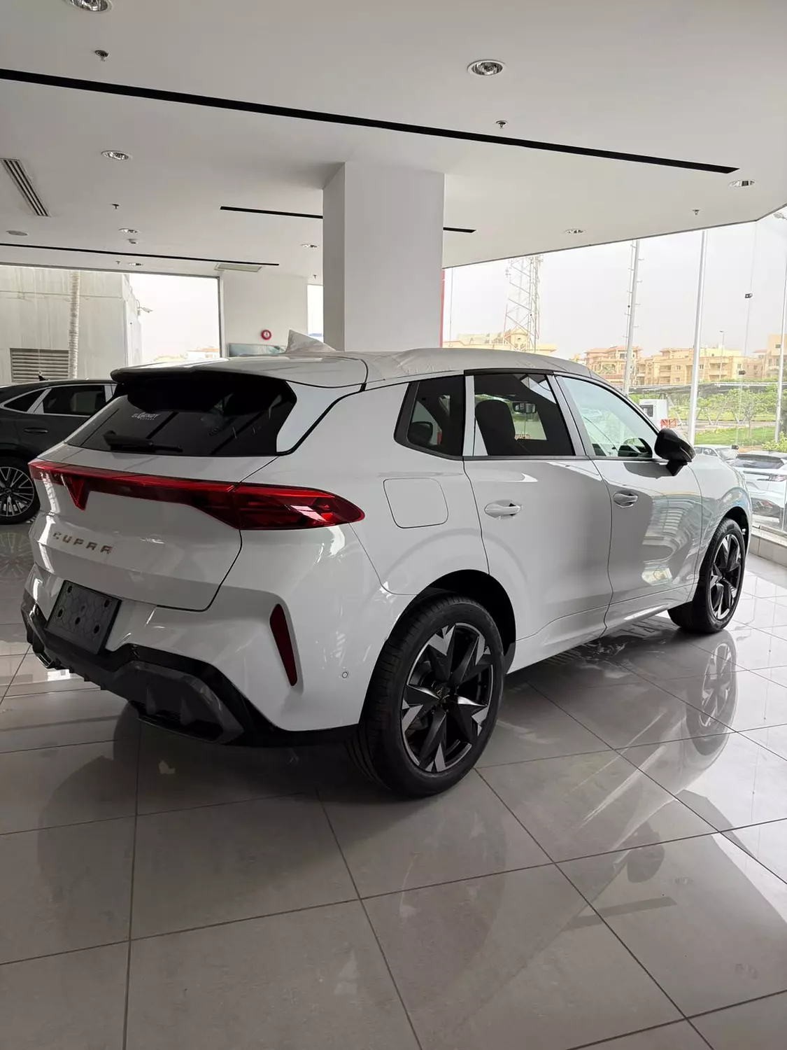 cupra terramar 10