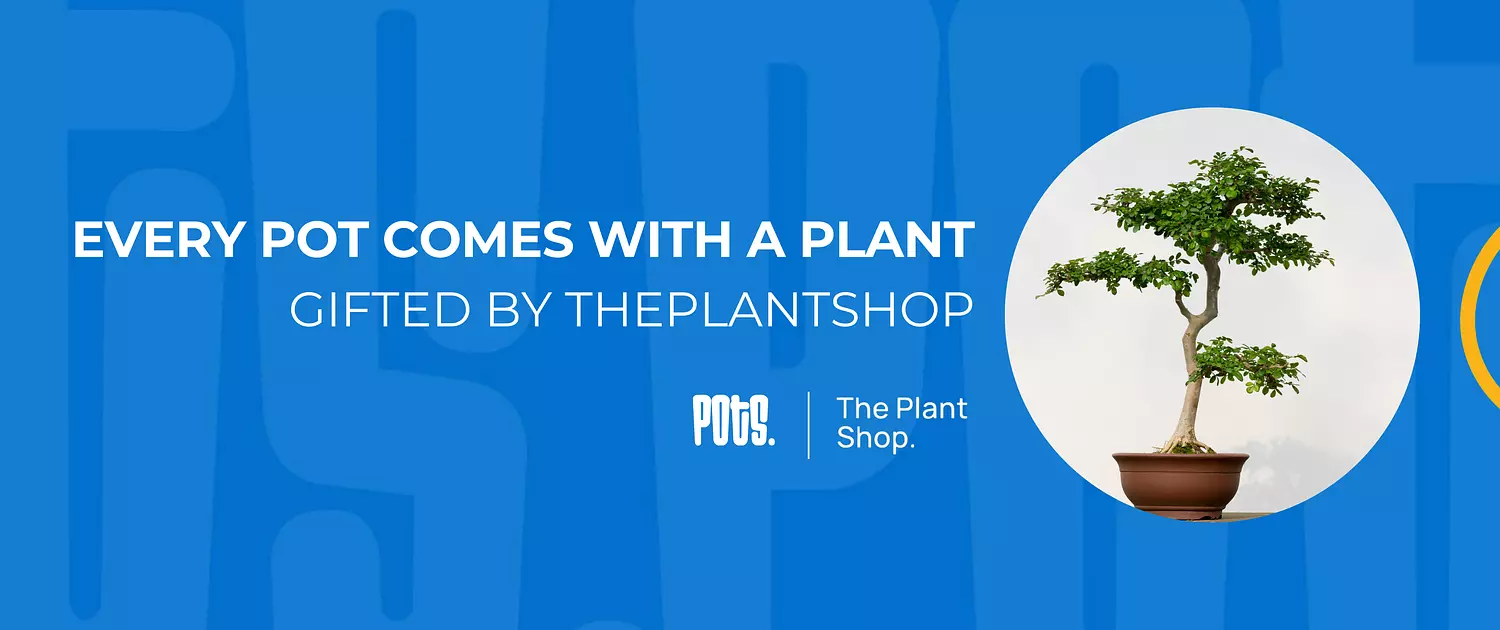 banner image for POTS