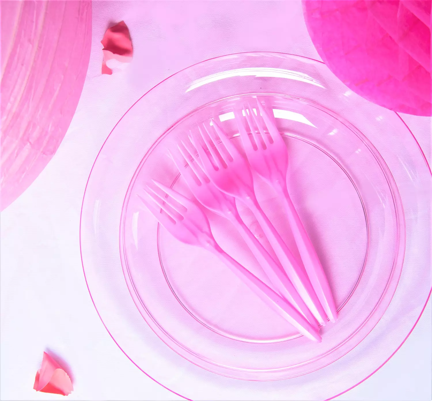 Pink Plastic Plates 2