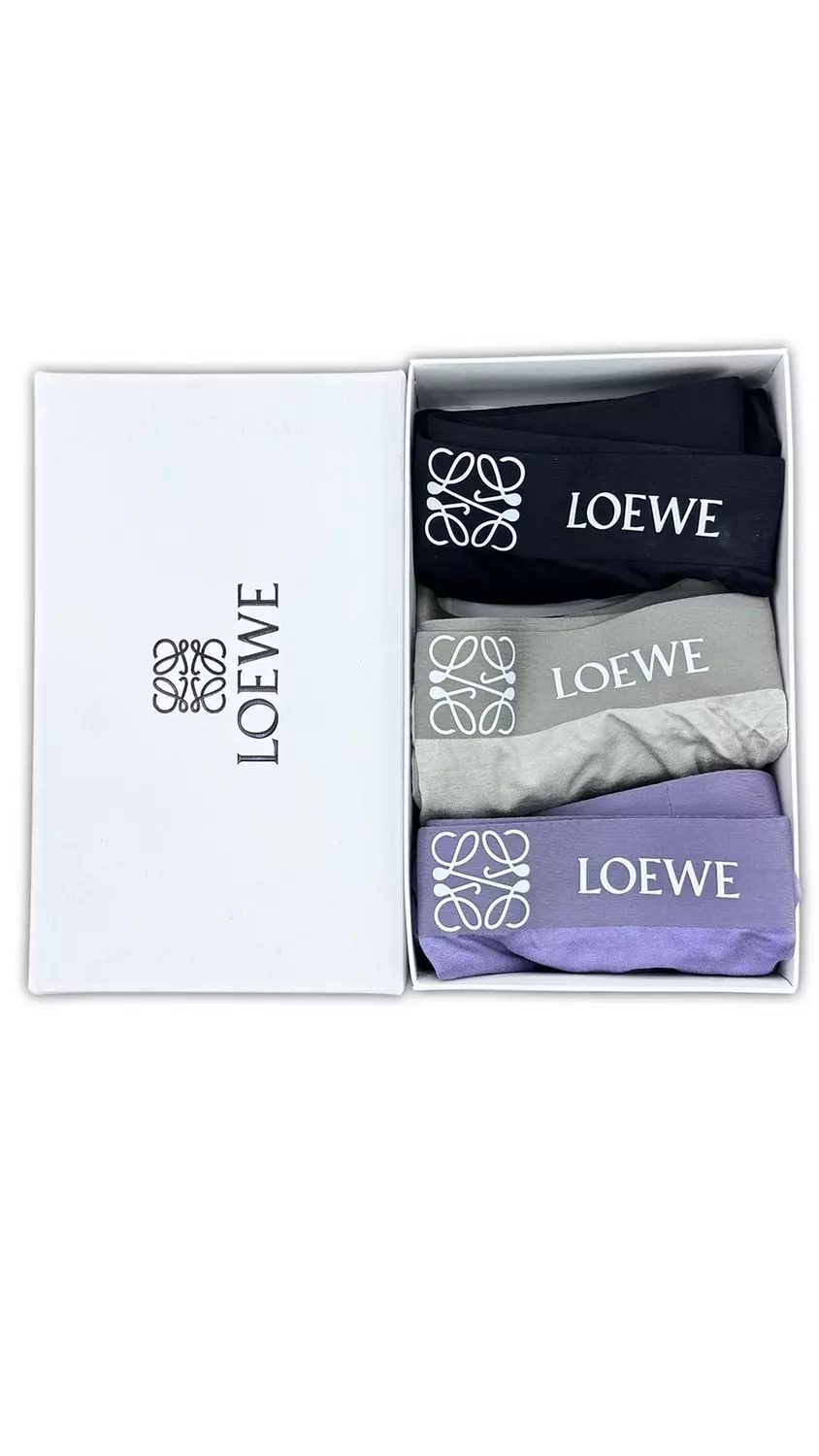 LOEWE BOXER 3 PCS IN BOX -P08I8 image