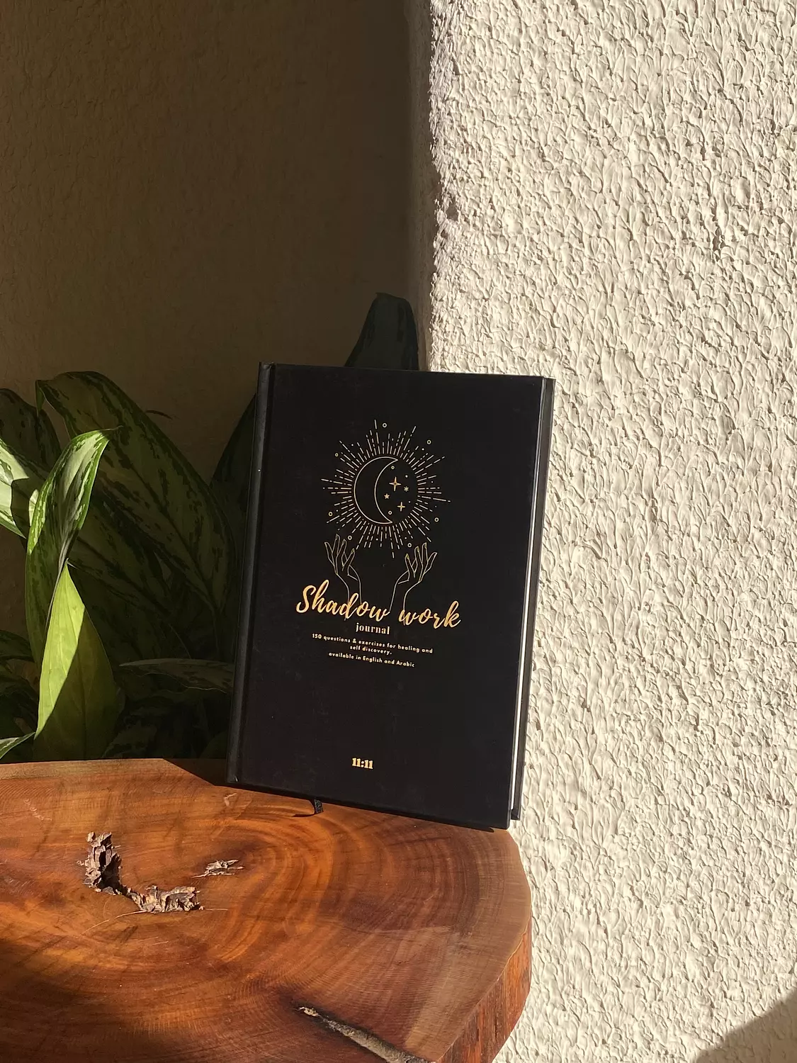 Shadow Work journal 5