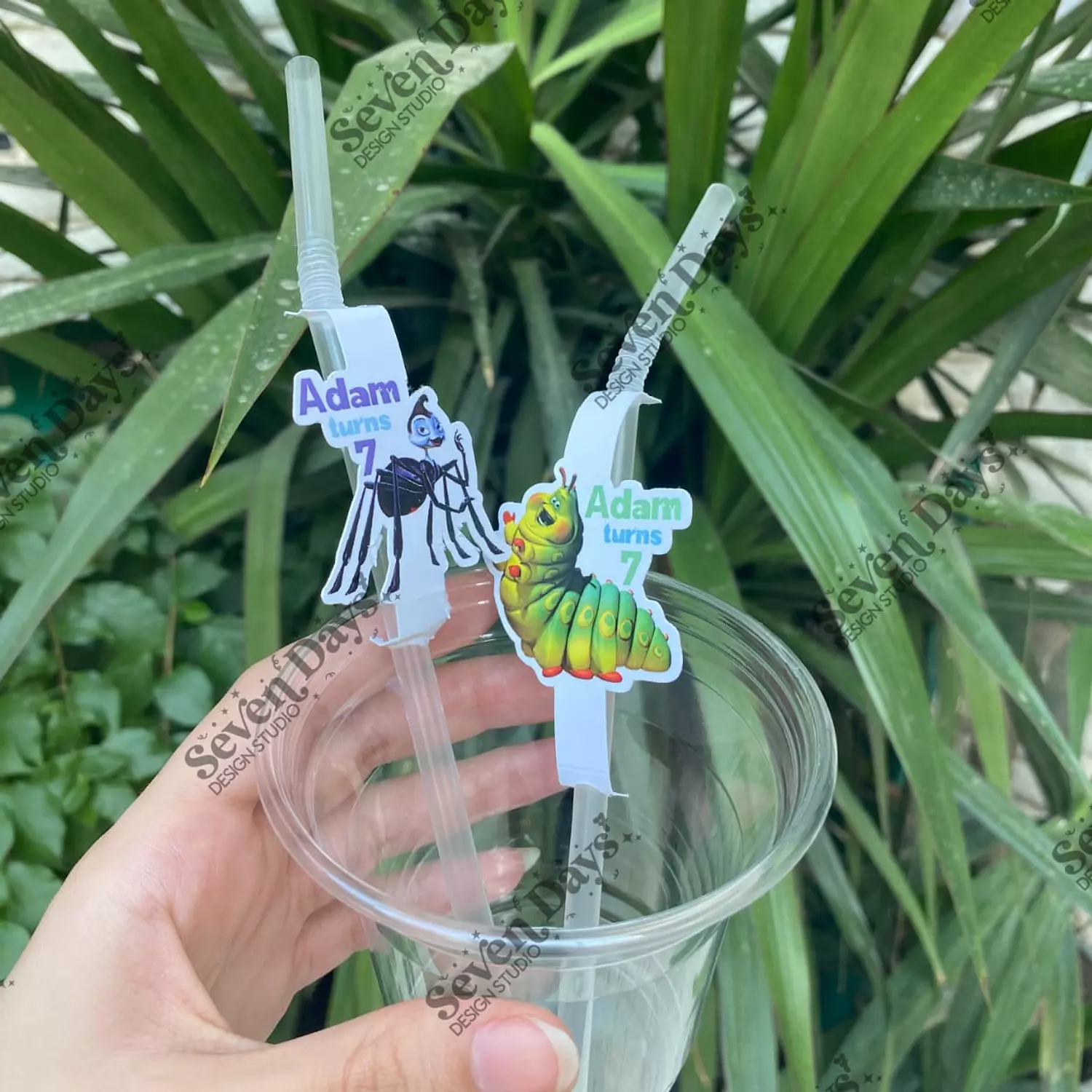 10 Straws 3