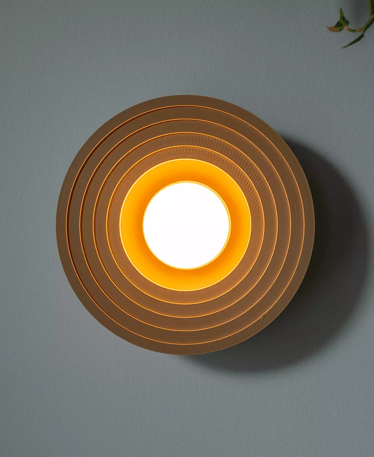 Solstice Wall Light 2