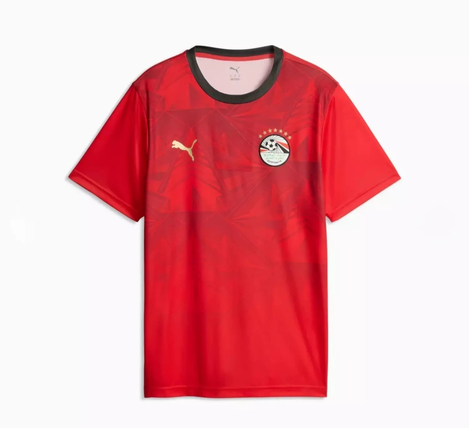 Egypt Home 2026 Fan Jersey image