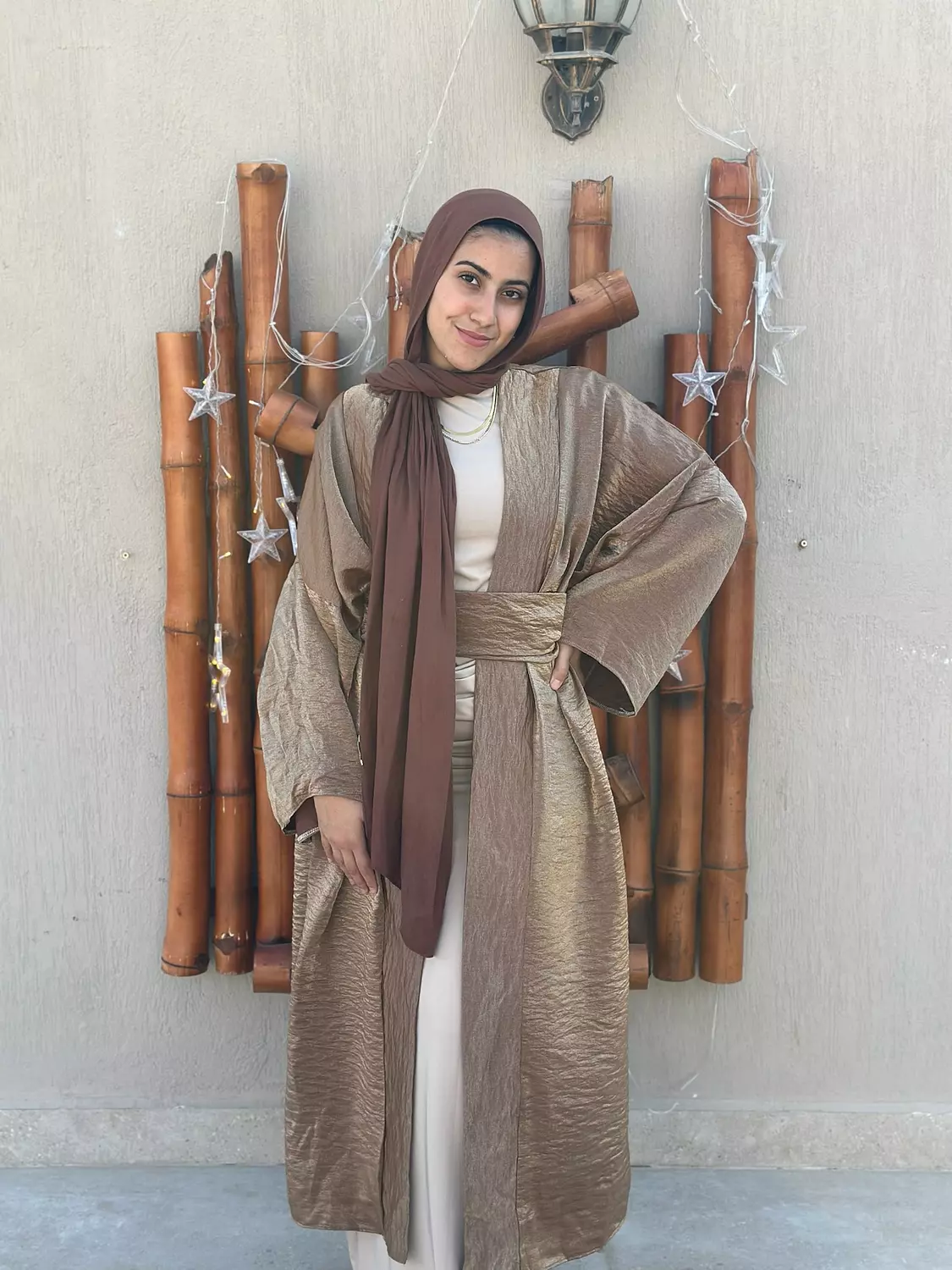 Shimmery Cardigan - Brown 2