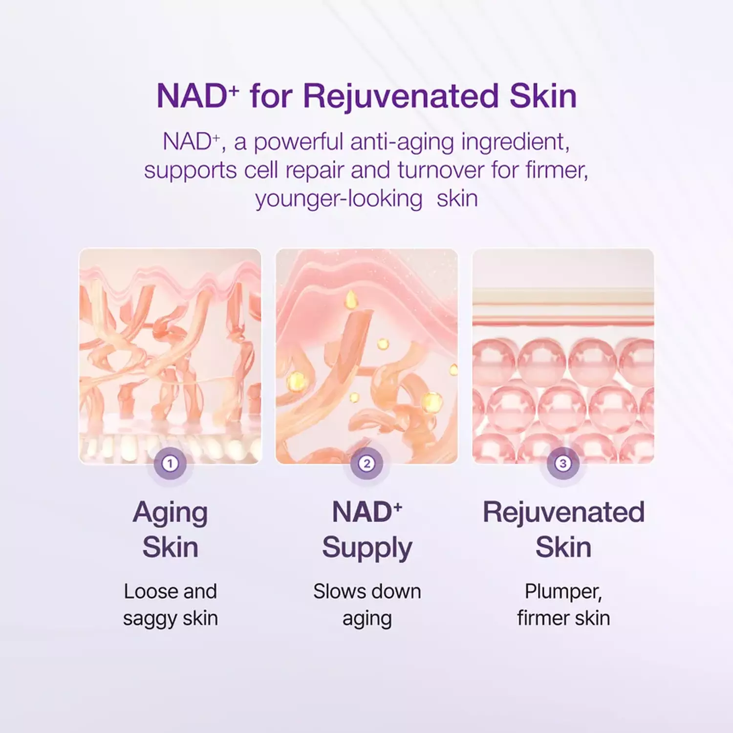 Numbuzin - No.9 NAD Bio Lifting-sil Essence 50ml hover image