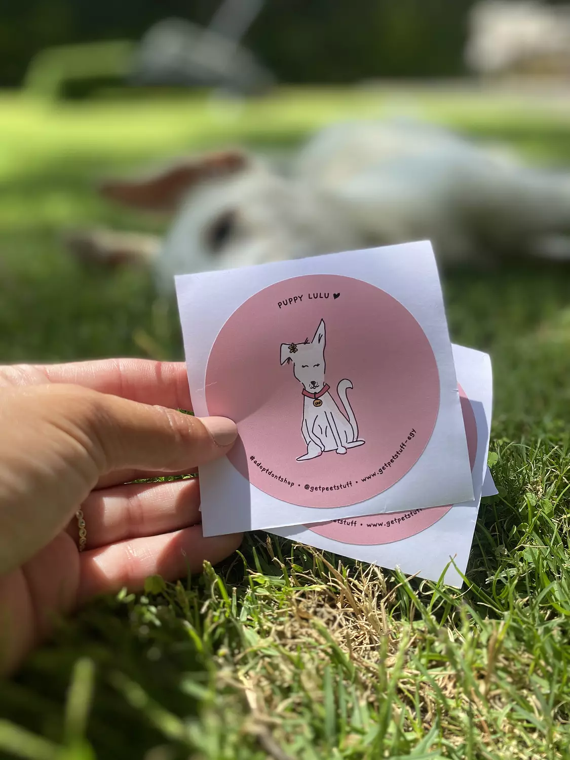 Puppy Lulu Sticker 0