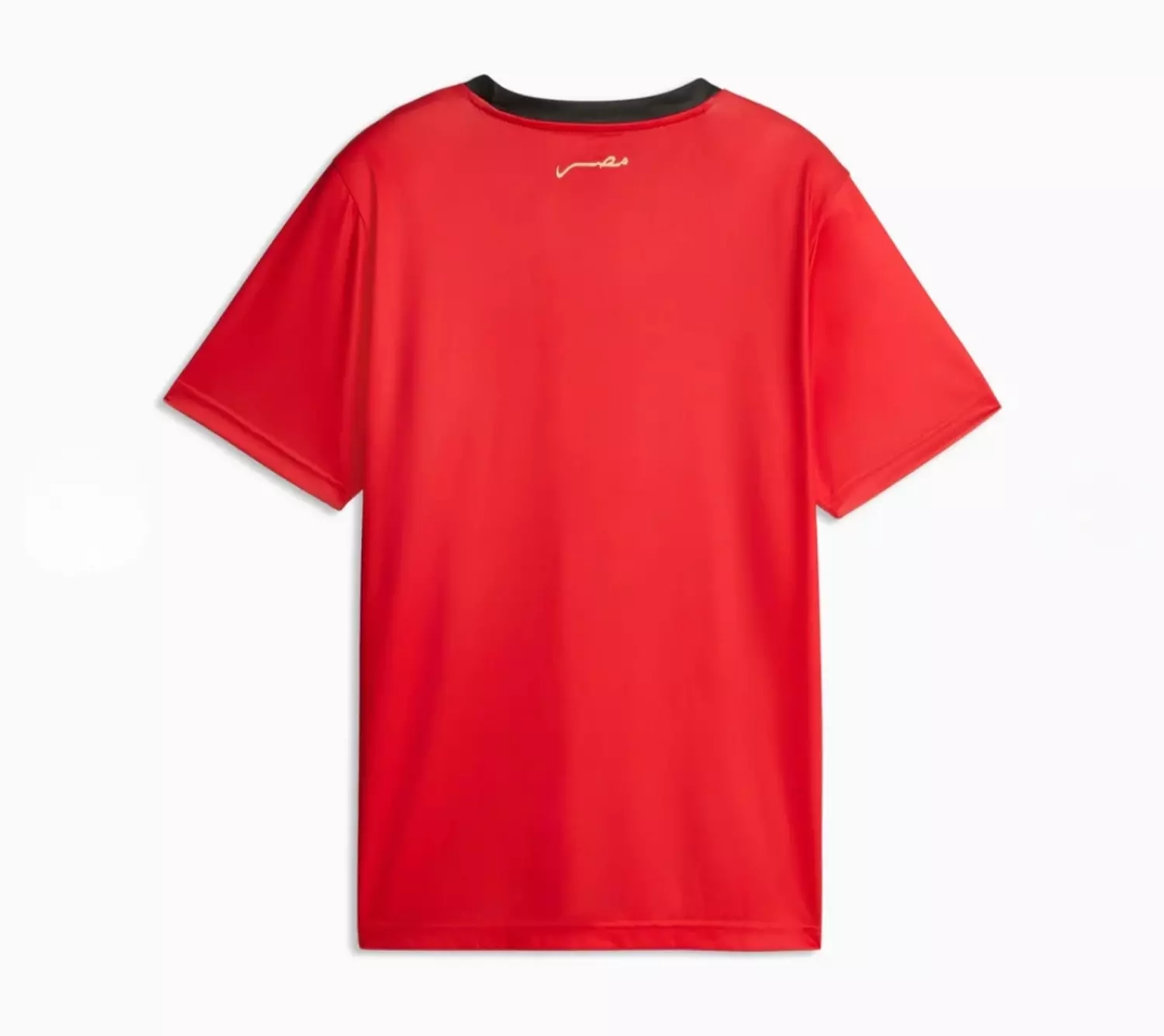 Egypt Home 2026 Fan Jersey 2