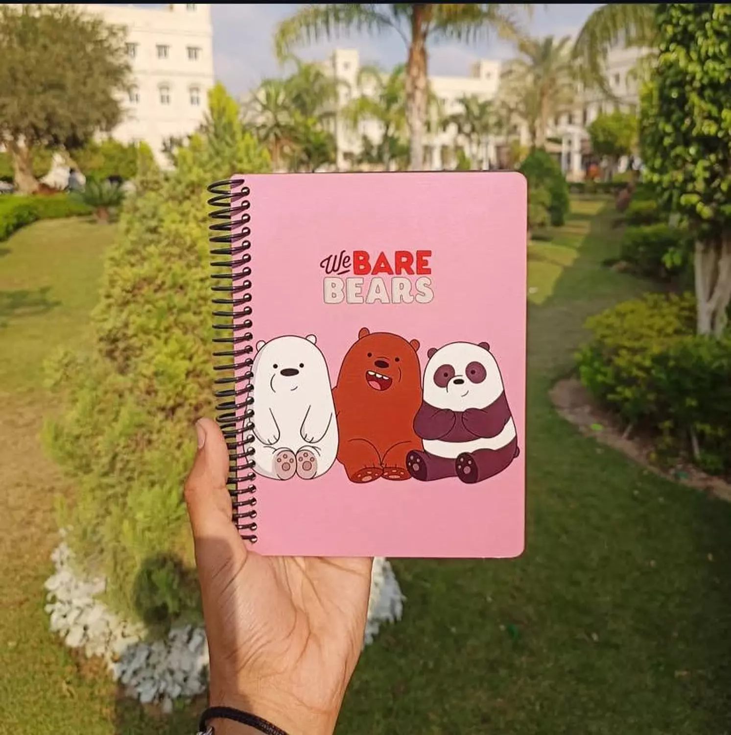 we bare bears image