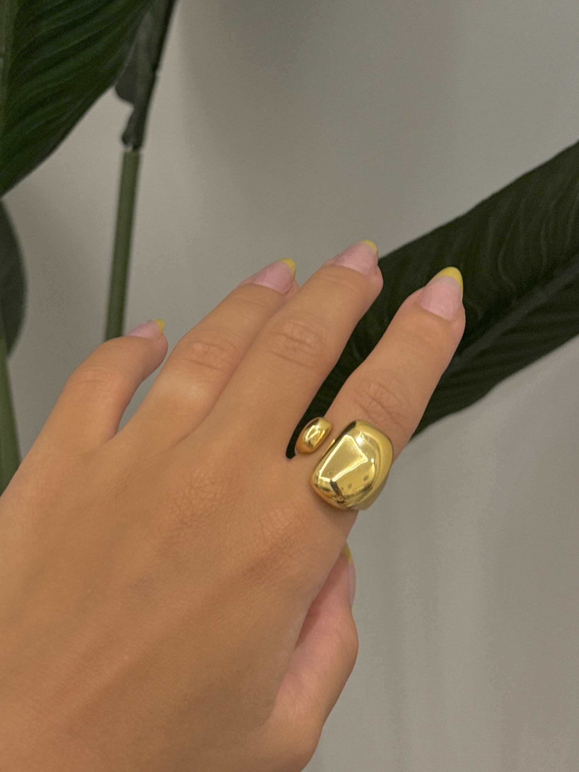 Stainless steel chunky ring image