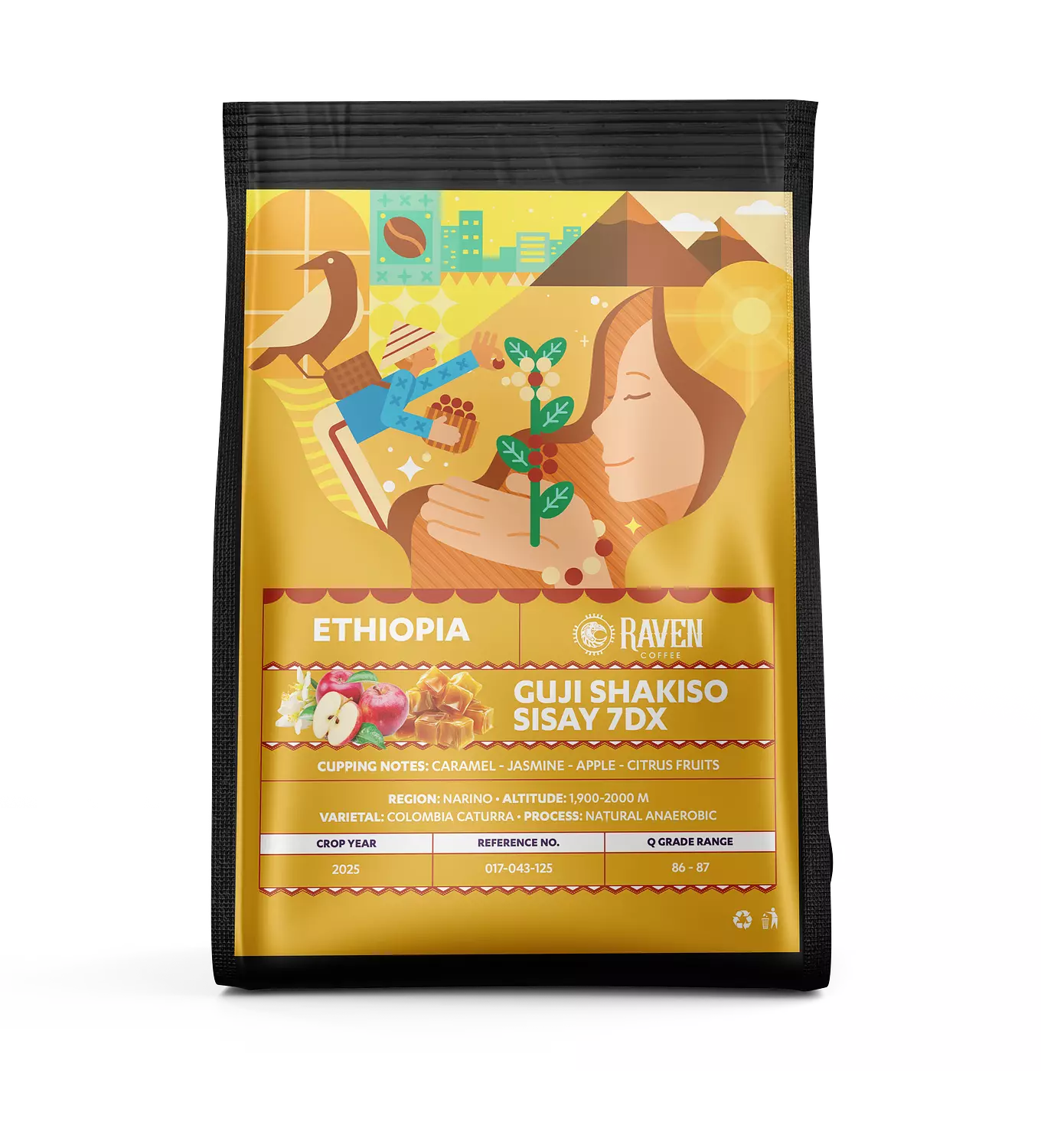 Ethiopia GUJI  SHAKISO SISAY image