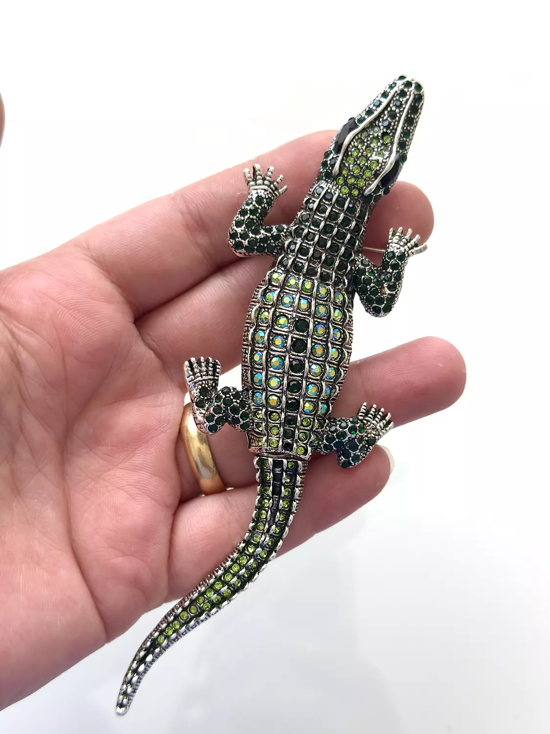 crocodile image