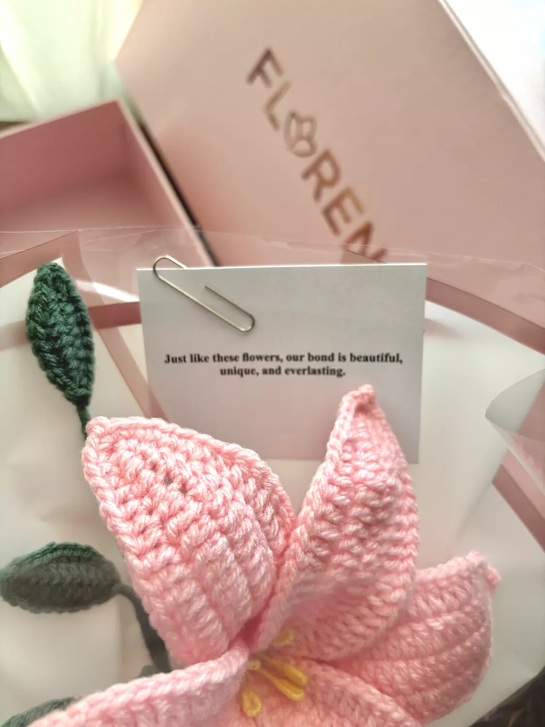 True Beauty | Pink Edition 3
