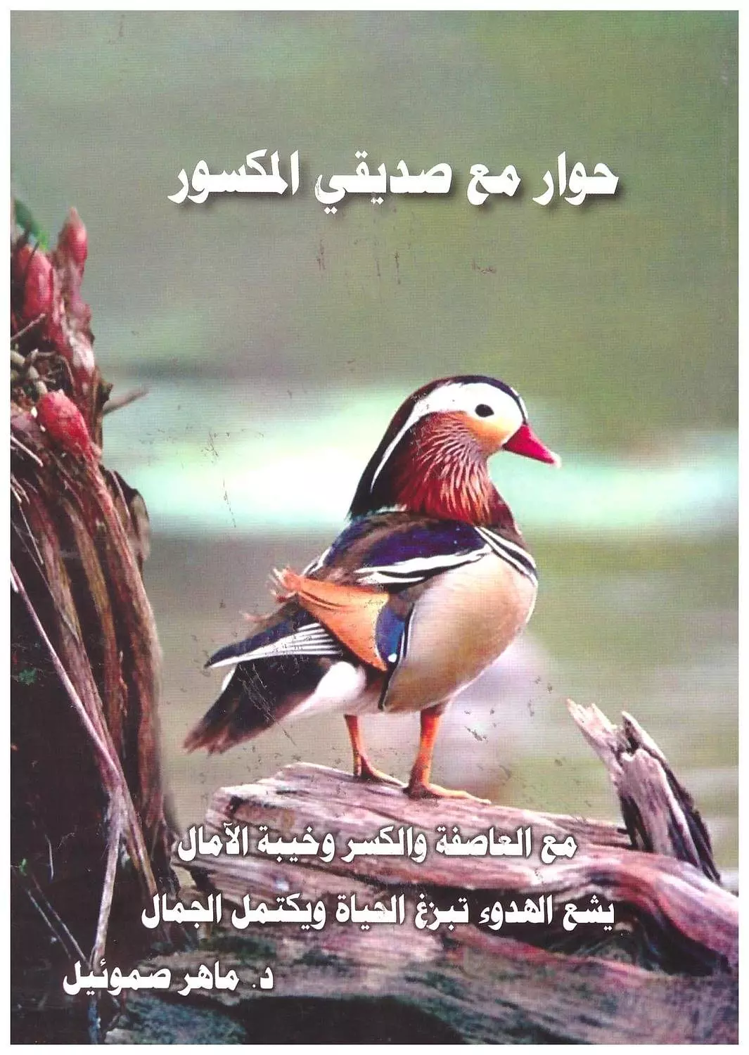 حوار مع صديقى المكسور image