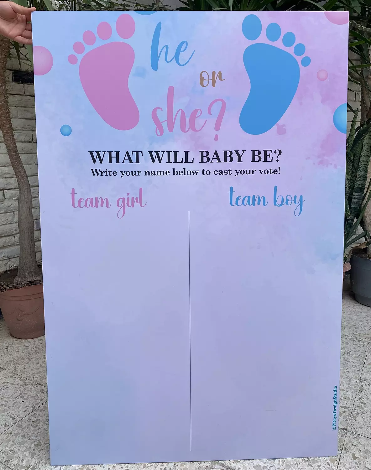 Baby Reveal Guessing Board image