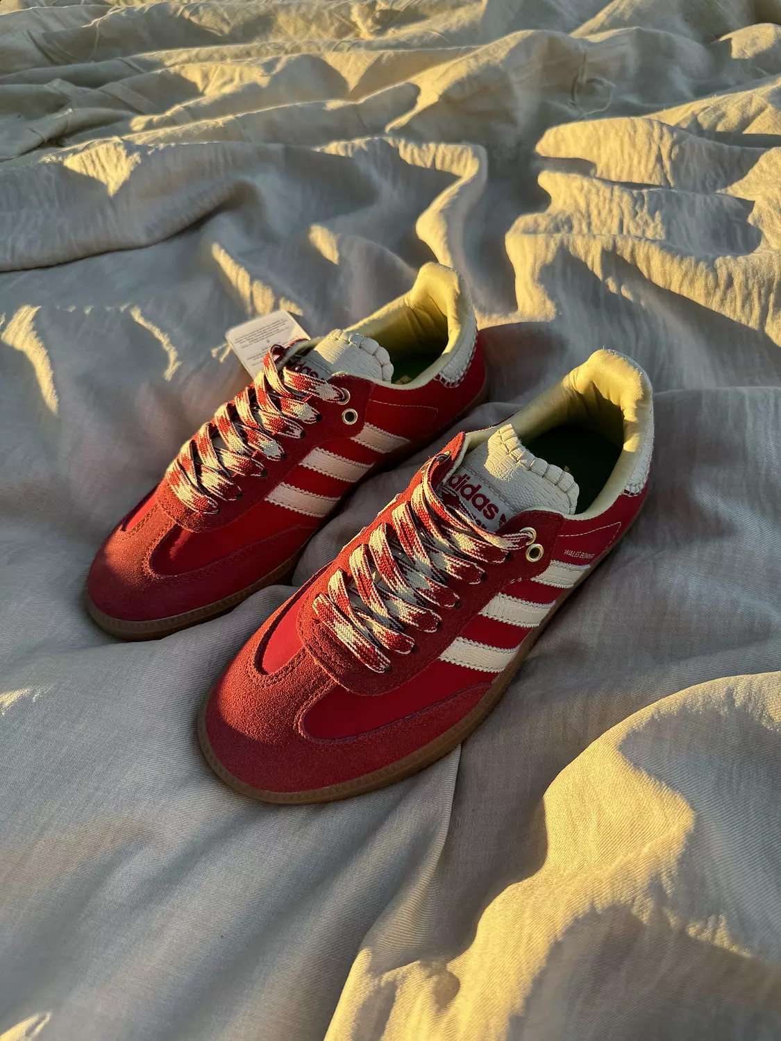Adidas samba og wales boner  3