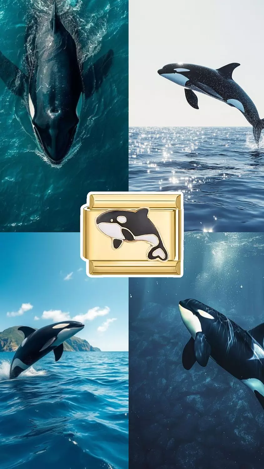 <h2><span style="color: #f2f2e8">Whale Charm</span></h2>