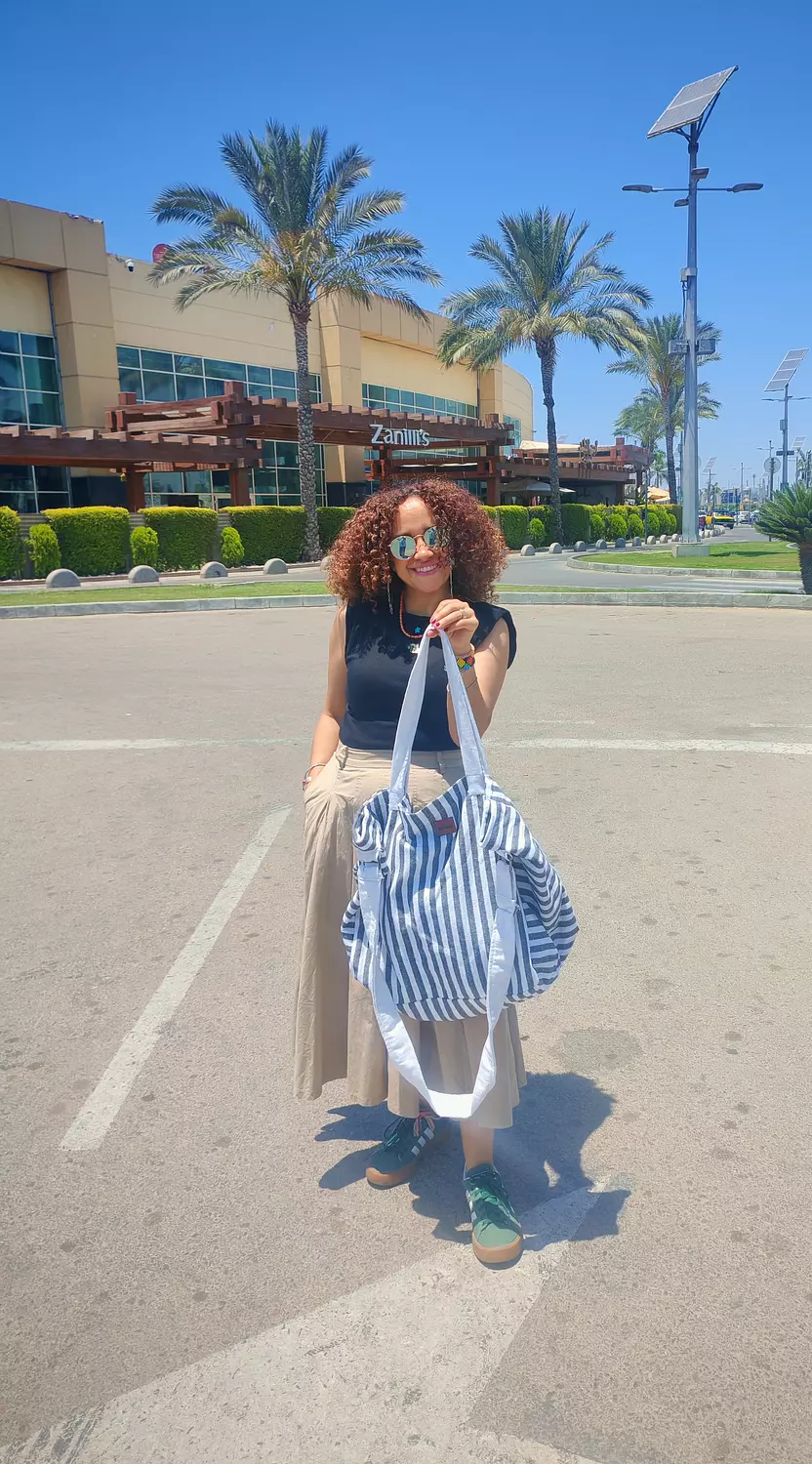 Striped grey Large size bag 3