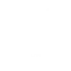 STEELIXE