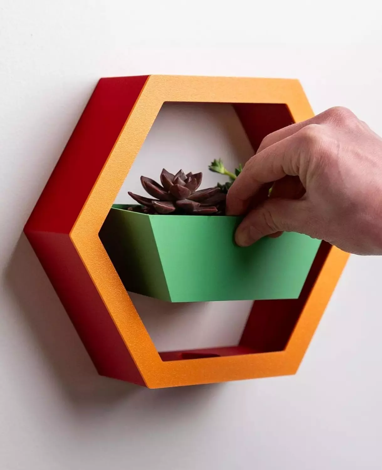 Hexagon Wall Planter by Pots  image