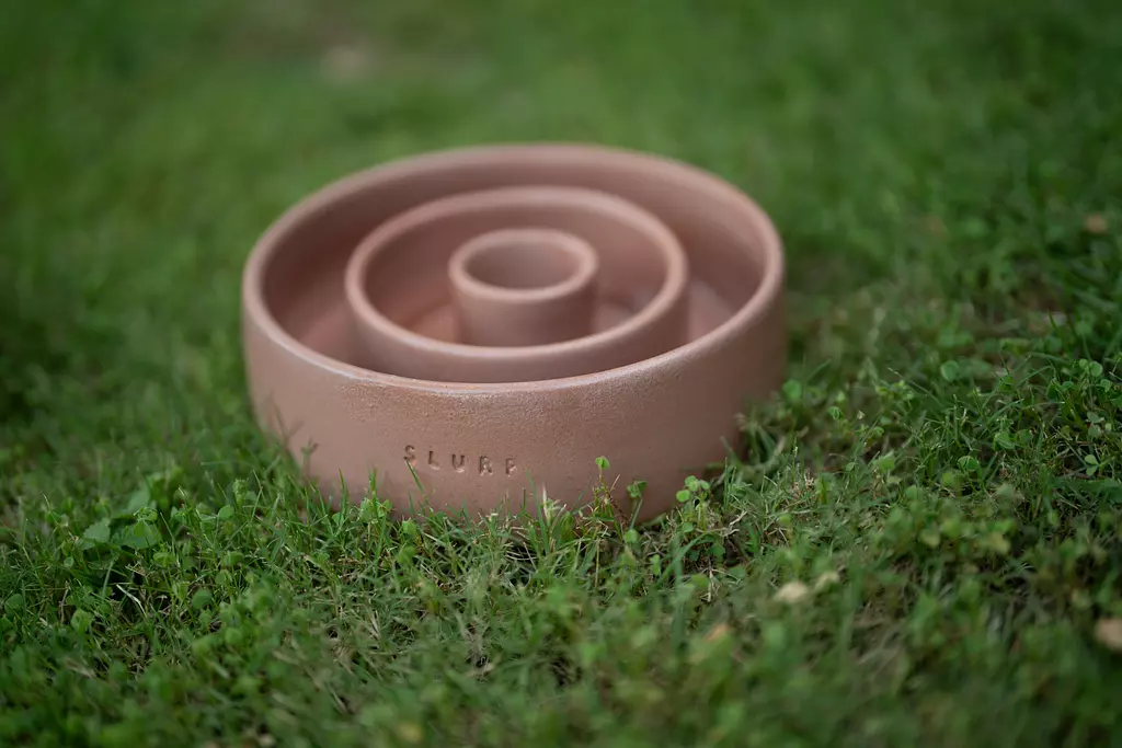 Slurp Slow Feeder | Terra