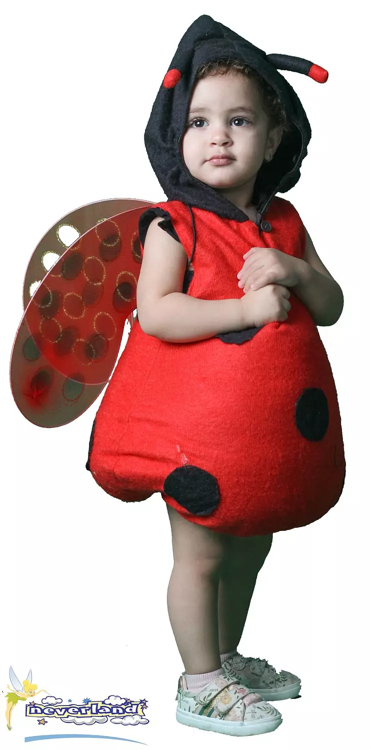 Lady Bird and Bee Set 1